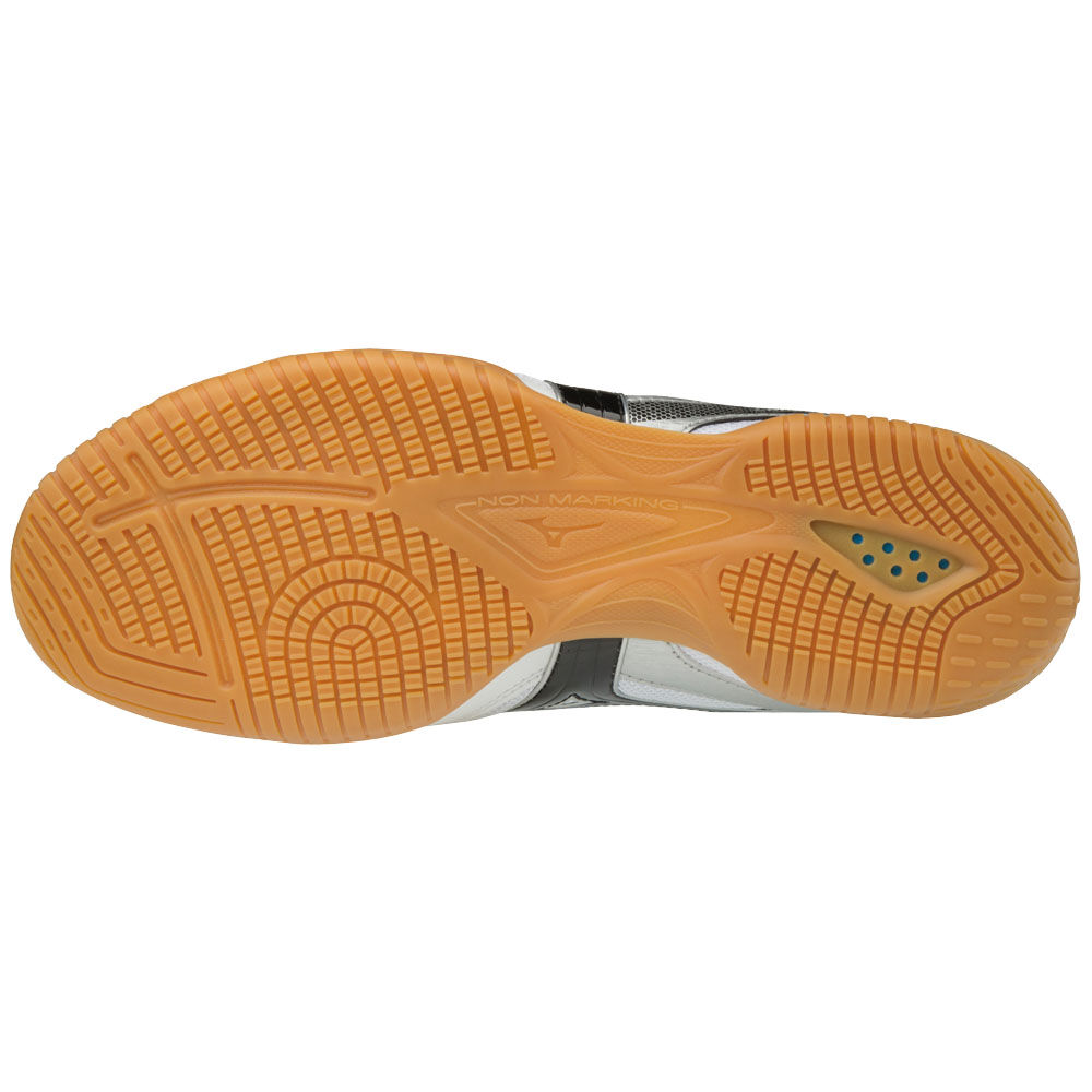 Crossmatch plio rx4 clearance